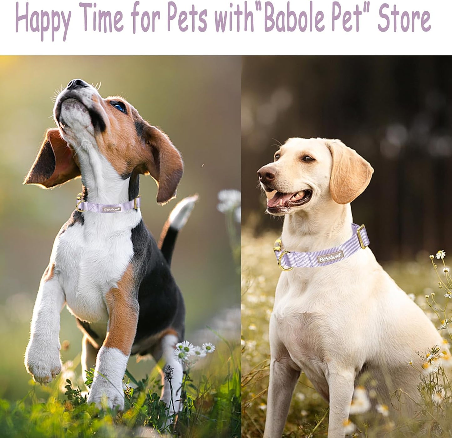 Babole Nylon Dog Collars Lavender for Small Puppy Dog,13 Colors,Adjustable Soft Comfortable Pet Collars with Safety Metal Buckle for Medium Large Boy&Girl&Female Dog(S)