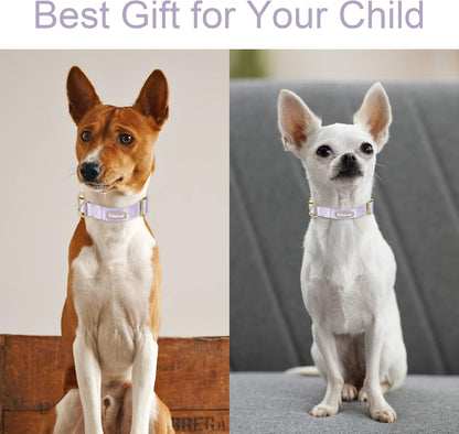 Babole Nylon Dog Collars Lavender for Small Puppy Dog,13 Colors,Adjustable Soft Comfortable Pet Collars with Safety Metal Buckle for Medium Large Boy&Girl&Female Dog(S)