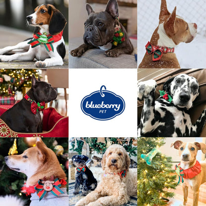 10+ Designs Holiday Christmas Festival Dog Collars, Collar Covers