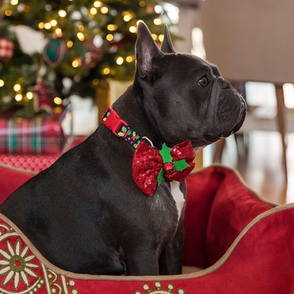 10+ Designs Holiday Christmas Festival Dog Collars, Collar Covers